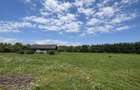 Teren extravilan | Horodnic De Sus | 3600MP - 1