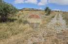 Teren intravilan de vanzare 843 mp – Chinteni - 10