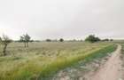 Lot teren 700 mp*Intravilan*Comuna Berceni*deschidere 17m - 6