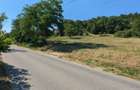 Tutana-Curtea de Arges, 10min. de A1, 1385mp., desc.50m, asfalt, electricitate - 1