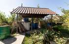 Casa visurilor cu 4000 mp livada roditoare si gradina Darmanesti-Arges - 26