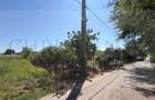 | Teren Intravilan Domnesti 585 mp-Investitie |