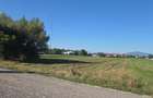 Teren Bod Colonie,strada Lalelelor - 2