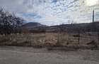 Teren intravilan, 3800 mp, ideal investitie - zona turistica , Moigrad - 1