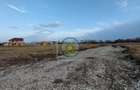 TEREN INTRAVILAN BRASOV-STUPINI STR. FAGURULUI - 6