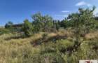 Teren intravilan 2500 mp de vanzare in Ciugud - Teleac - 2