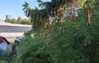 Apartament 4 camere, 2 dorm, sufragerie, birou, scara interioara, et.1 in vila  - 11