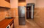 Apartament o camera, 30 mp, etaj intermediar, zona Podu Ros - 7