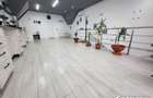 CASA REZIDENTIALA DE LUX + 5 SPATII COMERCIALE CU CHIRIASI - 15