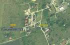 Ocazie! Visan TEREN 1616mp intravilan lot pt constructie casa - 11