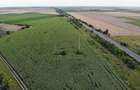 Vand Teren Extravilan Becicherecu Mic(zona industriala) 18.000mp,Utilitati - 2
