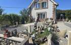 Casa cu piscina, 3450 Mp suprafata teren, Albesti, Mures - 16