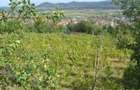 Teren, 3.000 mp ALBA, AIUD - 3