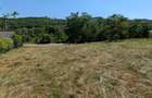 Tutana-Curtea de Arges, 10min. de A1, 1385mp., desc.50m, asfalt, electricitate - 6