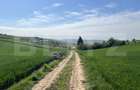 Teren generos 15.900 mp (intravilan + extravilan) în Sâncraiu de Mureș - 2