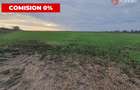 Comision 0% Teren extravilan agricol 21,32 ha sau intravilan cu PUZ aprobat - 12