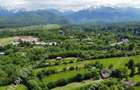 Teren Intravilan pe Valea Avrigului loc Avrig suprafata 7100 mp - 4
