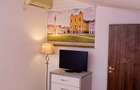 Apartament situat zona pietonala Timisoara, Piata Unirii, direct proprietar - 4