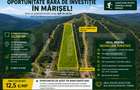 Oportunitate rară de investiție în Marisel, 35.780mp, 12.5 euro/mp - 1