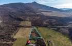 Teren intravilan în Șiria pe deal - 1