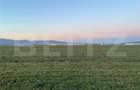 Teren agricol de vanzare, 5.000 mp, zona Sebes - 1