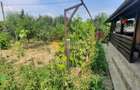🏡CASĂ SUPERBĂ LA 15 KM DE IAȘI – VOINEȘTI | 145.000 € - 19