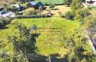 TEREN intravilan 3260 mp  ROZNOV – CHINTINICI - 5