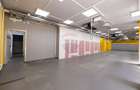 SPAȚIU COMERCIAL  | 231 MP | VAD COMERCIAL - 29