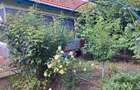 Direct Proprietar Casa 4 camere, teren 1280mp și garaj - 2