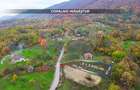 Teren intravilan de vânzare – Copalnic Mănăștur – 3.000 mp - 2