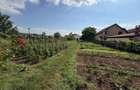 Teren Intravilan | 1.400 mp | Toate utilitățile | Micești | CONSTRUIBIL | - 2