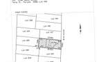 Vila 4 camere Iancu Nicolae | Gama Jollie Ville | Oliveto - 24