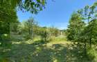 Teren intravilan de vânzare – 30 ari – Zona Podul Jelnei – priveliște panoramică - 3