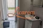 Casa 3 camere individuala SanpetrU,mobilata si utilata,128900 euro. - 31