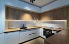 Apartament deosebit cu 2 camere in Isho - vedere spre Bega - 8