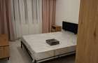 apartament doua camere de inchiriat - 9