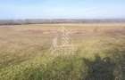 Teren mixt de 10.000 mp, ideal pentru investitie, Barsa - 1