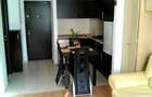 Apartament 2 camere + Loc de Parcare - Bloc 2009 -  Tatarasi - 6