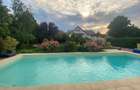 Vila superba cu piscina in zona Iancu Nicolae - 9