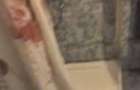 apartament 2 camere zona Abator 50 mp - 5