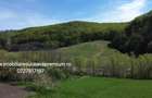 Casa Noua de Vanzare in Bucovina - Patrauti 0727817187 - 6