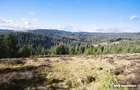Eco Retreat Land in Apuseni Romania - Poiana Horea - 9