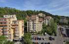 Apartament spatios cu 2 camere Parcul Trandafirilor Racadau - 17