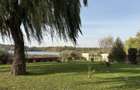 Vila cu piscina pe malul Lacului Snagov teren 2000mp 6900eu/luna sau 1950k vanza - 1