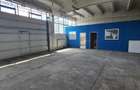 Hala 590 mp, depozitare, prestari servicii, ocolitoarea Brasov-Stupini - 7