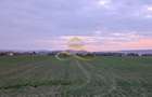TEREN INTRAVILAN IN LILIECI, BACAU - 1