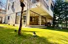 Vila 6 camere complex residential Iancu Nicolae - 2