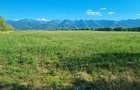 OPORTUNITATE REZIDENTIALA TEREN INTRAVILAN GENEROS 17.526 FAGARAS - 3