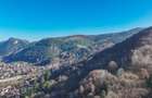 Teren Colinar Panoramic – 17.684 mp în Scheii Brașovului - 5