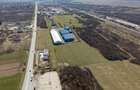 Teren extravilan de 7.000 mp lângă Păltiniș - 2